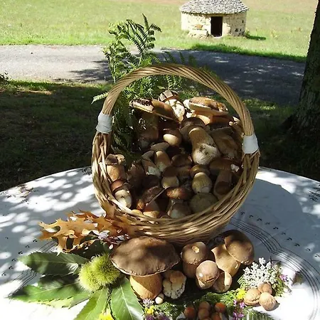 Oda ve Kahvaltı L'oree Du Bois