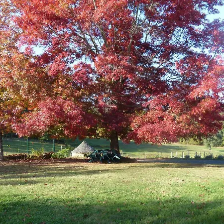 Oda ve Kahvaltı L'oree Du Bois